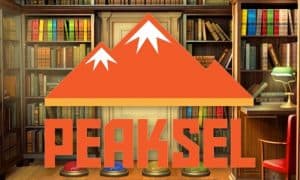 Peaksel-Blog-Header