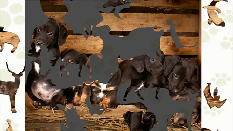 Puzzle-Escapes-Paws-and-Claws_ss1