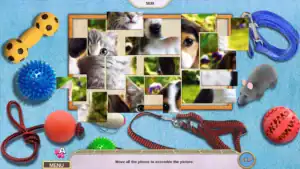 Sweet Home Look and Find CE_SS2